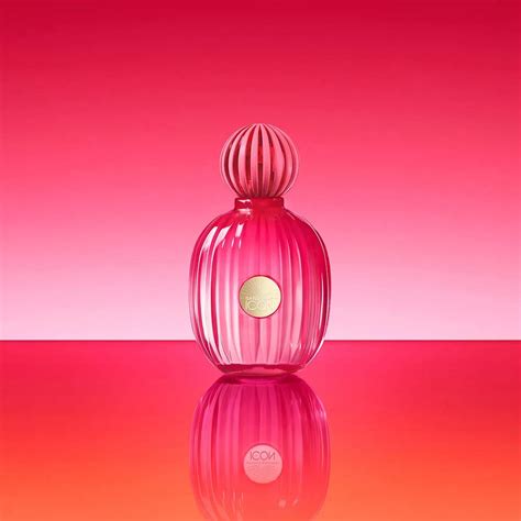 The Icon Eau De Parfum For Women Di Antonio Banderas Nuove Fragranze