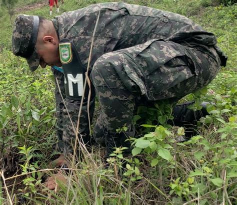 Policía Militar de Honduras on Twitter FFAA a través de PMOP plantó