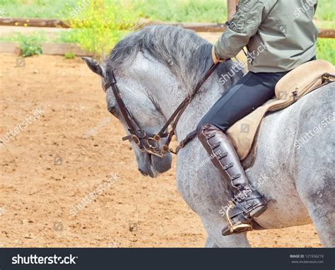 Beautiful Spanish Grey Horse Rider Stock Photo 121936219 | Shutterstock
