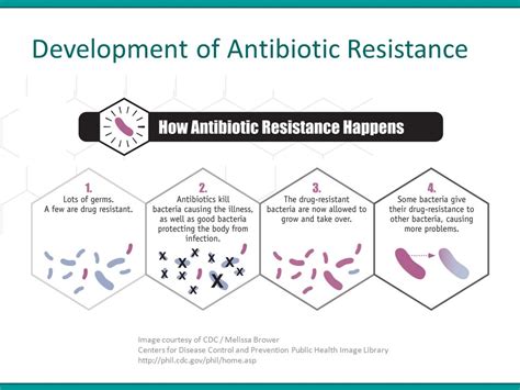 Antibiotic Resistance Phenotype