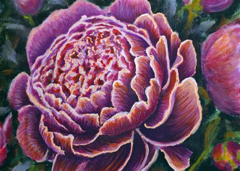 304 Peonies Oil Painting Stock Photos Free And Royalty Free Stock