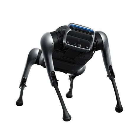 Робот-собака Xiaomi CyberDog купить в Красноярске. Цена на Робот-собака ...