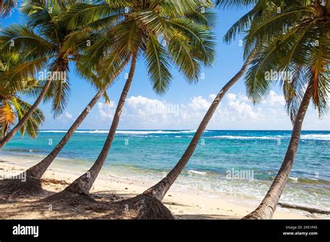 Dominican Republic Samana Peninsula Playa Fronton Stock Photo Alamy