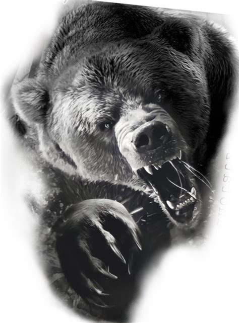 Pin De Andrzej Skibi Ski Em Bear Em Tatuagens De Urso Tatuagem