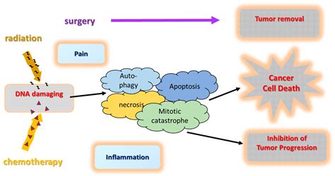 Cancers Free Full Text Are Aspects Of Integrative Concepts Helpful