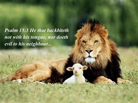 Lion and Lamb Wallpaper (54+ images)