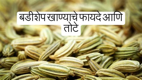 Fennel Seeds In Marathi बडीशेप खाण्याचे फायदे आणि तोटे