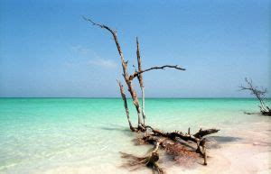 Las Mejores Playas De Cuba Chapka Seguros