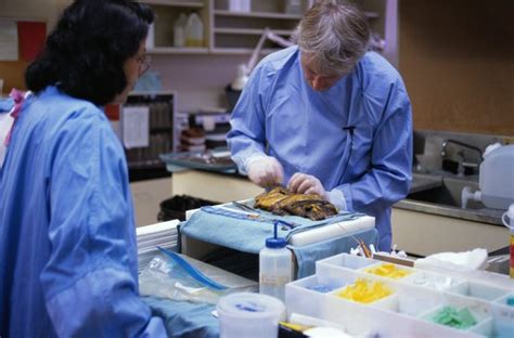 What Courses Do You Have To Take To Be A Forensic Pathologist
