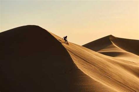 The Best Riyadh Desert Safaris Free Cancellation Getyourguide