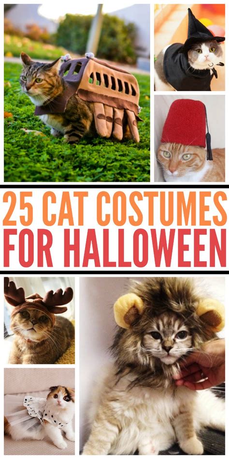 25 Cat Costumes for Halloween | Budget Earth