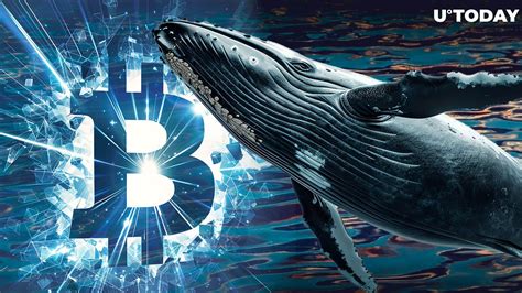 Satoshi Era Whale Awakens With Millions In Bitcoin After Years Of