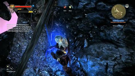 Azoic S Game Along The Witcher 2 In Cervisia Veritas Part 042