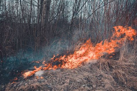 El Campo Quema La Hierba Seca Es Ambientalmente Peligroso Contaminaci