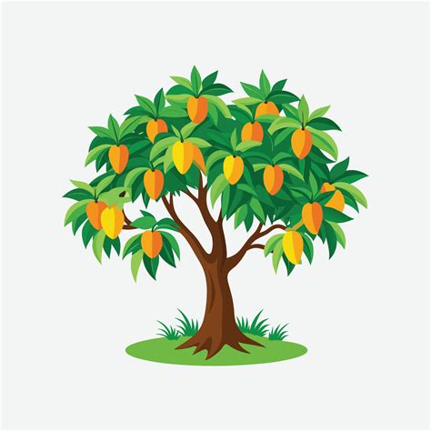 green mango tree illustration  vector art  vecteezy