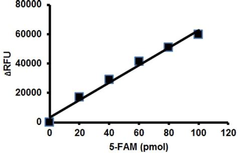 Akt Kinase Activity Assay Kit Ab139436 Abcam