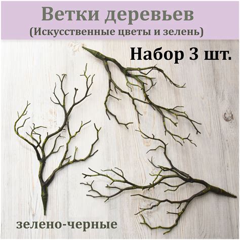 Ветки деревьев без листвы (3 шт.) / Ветка дерева зелено-черная ...