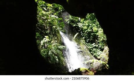 483 Gunung Gede Pangrango Images, Stock Photos & Vectors | Shutterstock