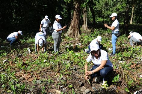 Empleados De Contralor A Participan En Jornada De Reforestaci N