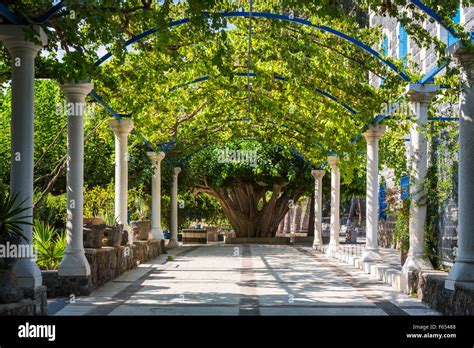 The Vine Garden Patio At The Greek Orthodox Church Of The Seven