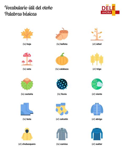 Vocabulario útil del otoño Palabras básicas Vocabulario