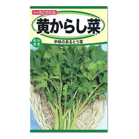 トーホク 黄からし菜 辛みのあるとう菜 種 たね タネ 種子 家庭菜園 野菜 栽培 メール便対応 Z57 10 00330菜園ライフ