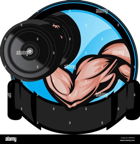 Bicep Cartoon Banque D Images Vectorielles Alamy