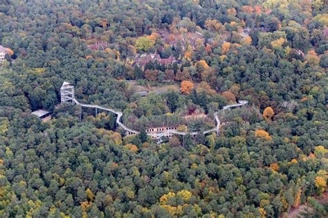 Beelitz Von Oben Ruine Des Ehemaligen Klinik Und Krankenhaus