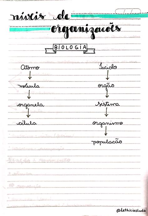 Resumo sobre Níveis de organização - Biologia | Estuda.com