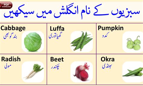 Vegetables Names In Urdu And English With Pictures And PDF Angrezify