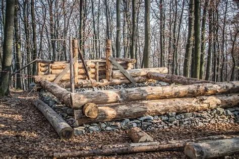 Building a log cabin - Lasitraveler