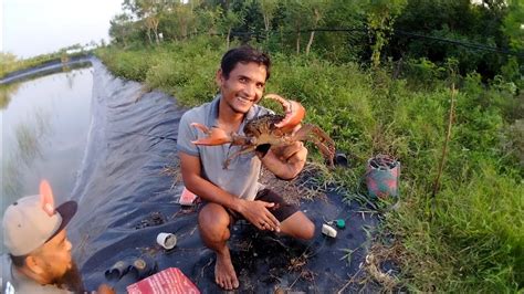 Pasang Bubu Kepiting Di Tambak Pas Air Lagi Pasang Pakai Umpan Ini Di