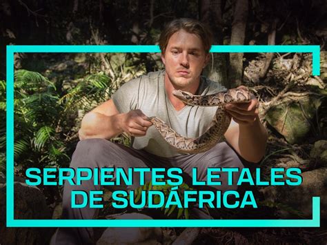 Serpientes letales de Sudáfrica Apple TV ES