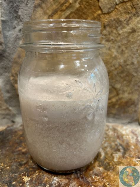 Horchata Matcha With Blackstrap Molasses Purba Feasts