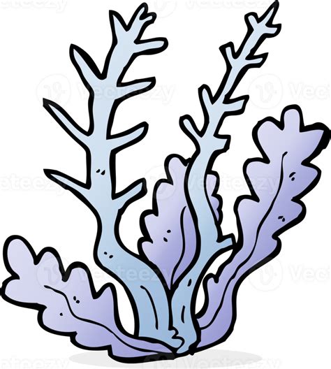 Cartoon Seaweed Drawing 46879852 Png