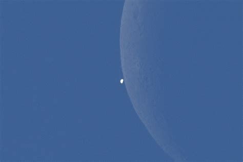 Venus-Moon occultation : r/astrophotography