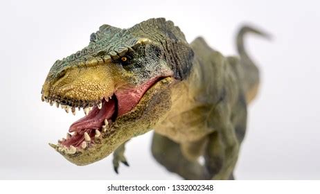 Tyrannosaurus Rex Modeltoy Portrait Growling Mouth Stock Photo