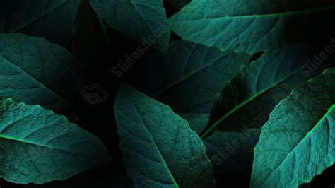 Leaves Plant Nature Golden Abstract Abstract Lines Powerpoint Background For Free Download