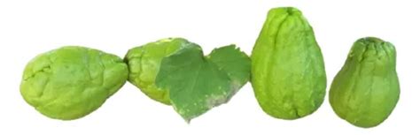 Chayote Papa Del Aire Vivero Cielo Verde Org Nico Cuotas Sin Inter S