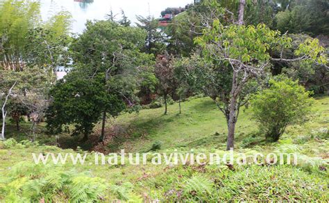 Lote Con Hermosa Vista A La Represa N Naturavivienda