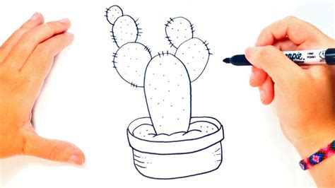 Cómo Dibujar Un Cactus Paso A Paso Dibujo Fácil De Cactus Youtube