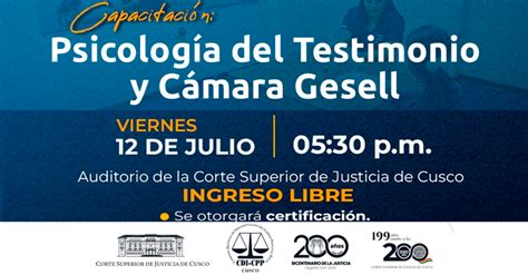 Curso Presencial Psicolog A Del Testimonio Y C Mara Gesell De La