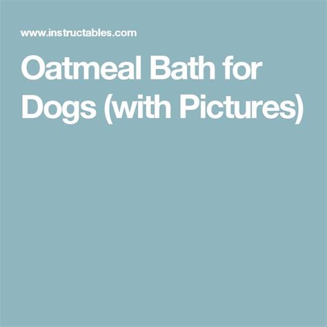 Oatmeal Bath for Dogs | Oatmeal bath for dogs, Oatmeal bath, Oatmeal