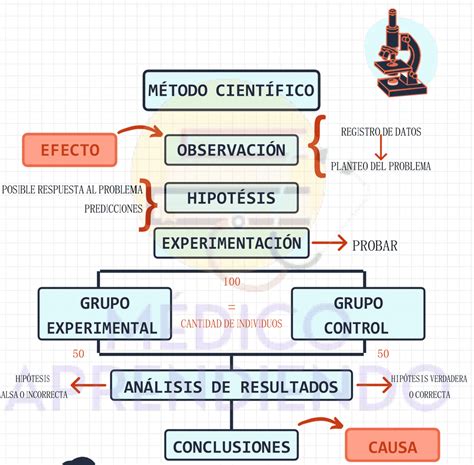 Mapas Mentales Del Método Científico 【descargar】