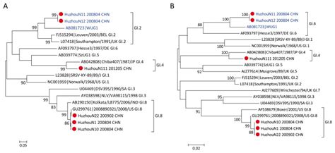 Phylogenetic Analyses Of The Partial Rdrp Region A And Capsid Region