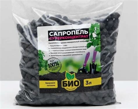 Натуральное удобрение, которое в 10 раз питательнее навоза: подходит ...