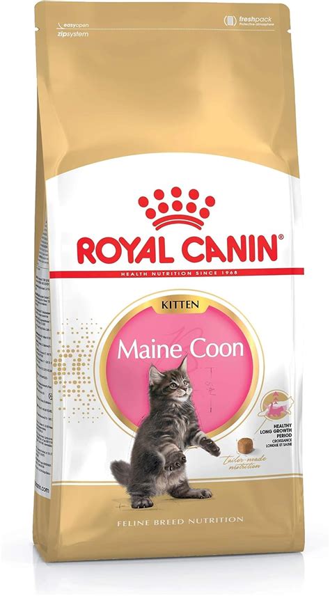 Royal Canin Kitten Food Maine Coon Dry Mix Kg Amazon Co Uk Pet