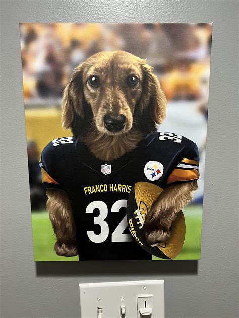 This Is Franco Harris My Crazy Wife Got Me This For My Steeler Room