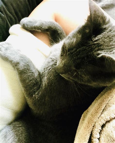 megan-mariee (u/megan-mariee) - Reddit