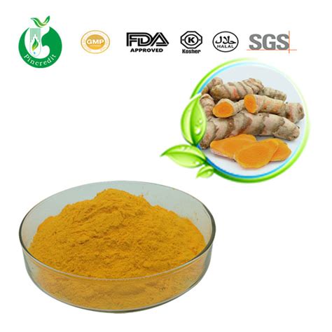 Wholesale Turmeric Root Extract Curcumin Powder Supplier